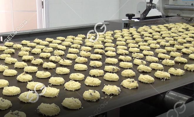 Biscuit Wire Cutting Machine
