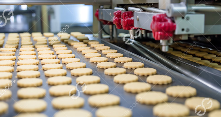Biscuit Making Machine Price in Indonesia