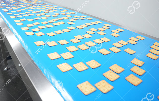 Planta automática para hacer galletas