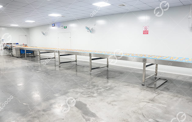 Biscuit Making Plant Project Report Biscuit Making Plant Project Report