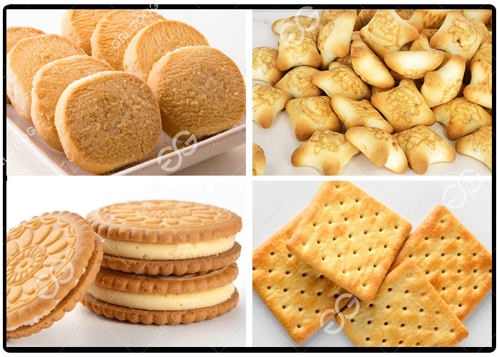 Production Line for Hard and Soft Biscuit