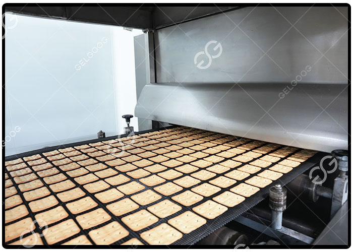 Continuous Biscuit Tunnel Oven