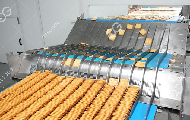 Biscuit Production Line Manufacturer