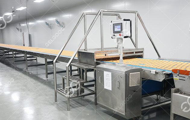 Automamtic Biscuit Making Line