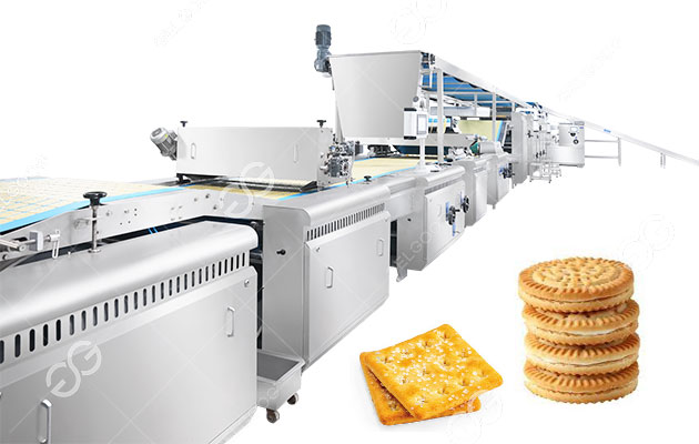 Biscuit Processing Equipment