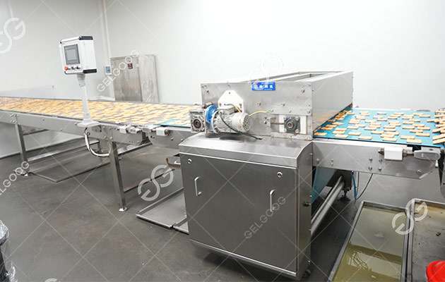 Equipment for Processing Biscuits
