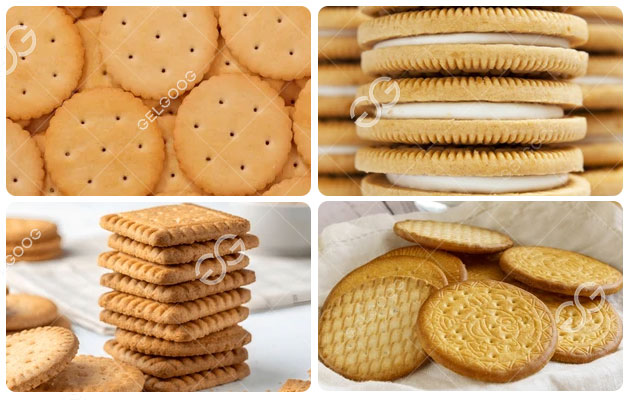 Equipment for Biscuit Processing