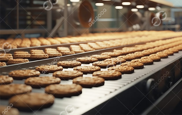 Chocolate Chip Cookie Production Process