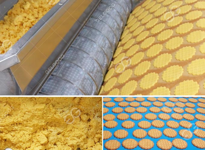 Soft Biscuit Production in Factory