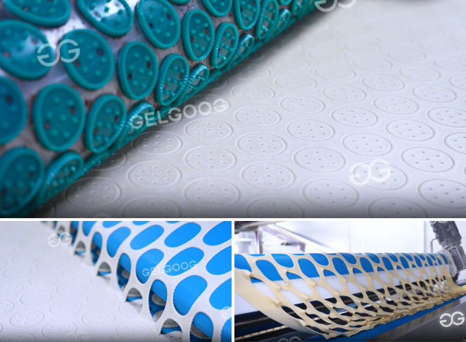 Hard Biscuit Production in Factory