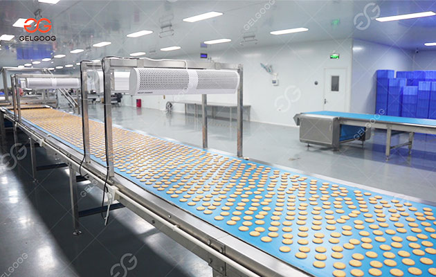 Producción de galletas duras y galletas blandas para fábrica