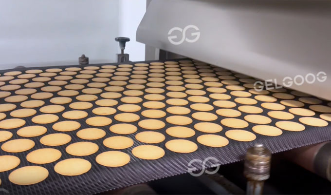 Fabricante de líneas de producción de galletas