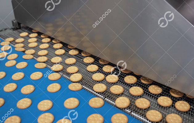 Máquina procesadora de galletas