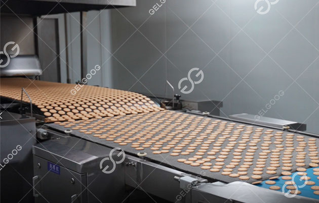 Biscuit Tunnel Oven Price