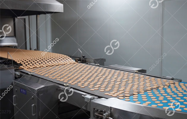 Tunnel Oven for Biscuits