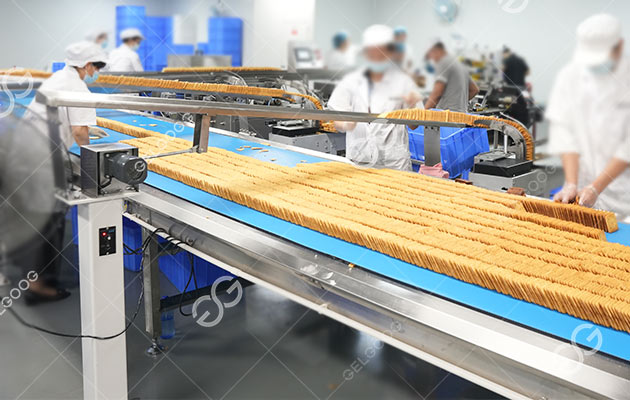 L&iacute;nea de procesamiento de galletas Osmania