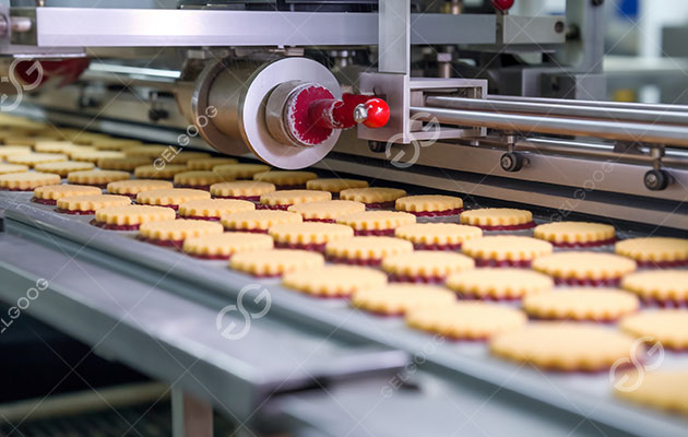How to Choose the Right Biscuit Machine