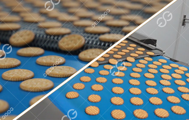 Galletas duras y blandas