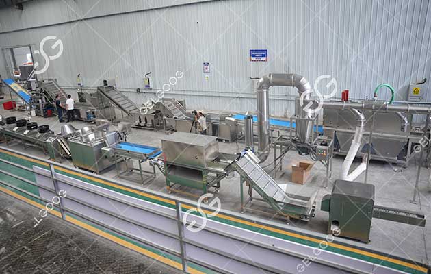fried onion processing line