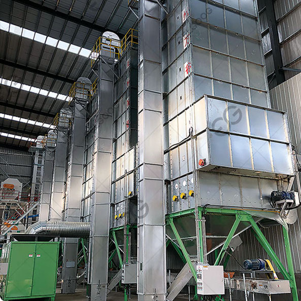 cocoa drying machine