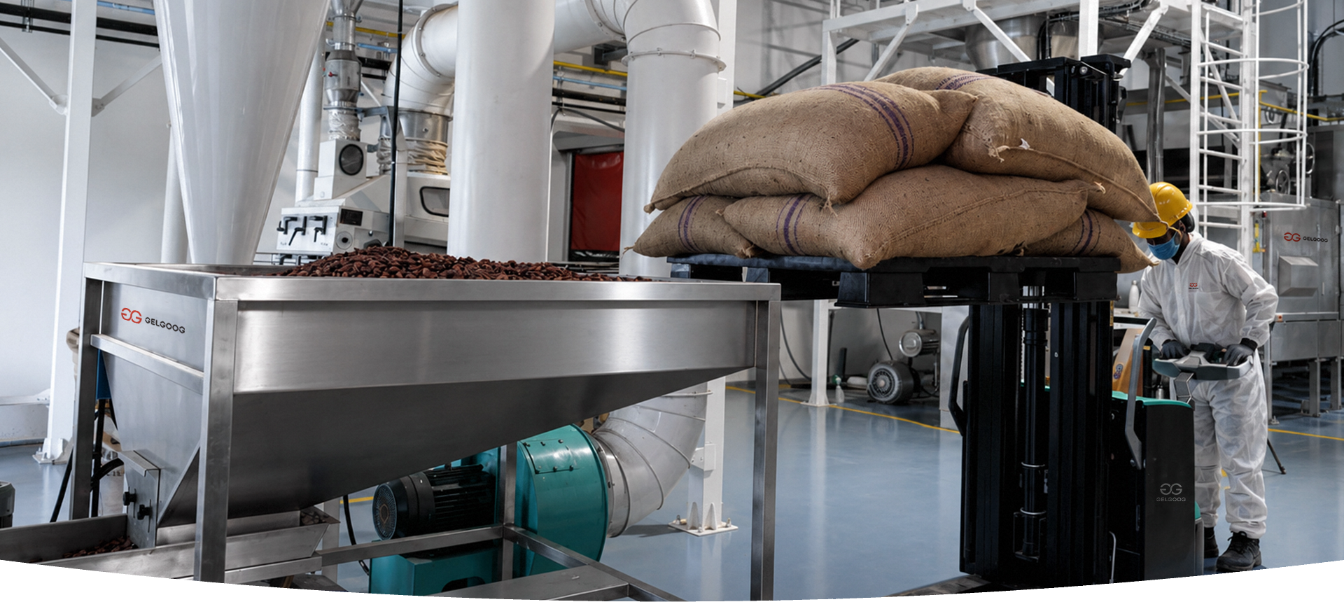 Automatic Cocoa Processing Solution