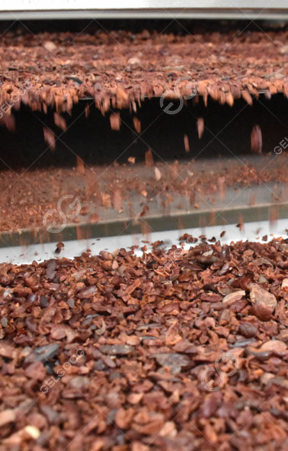 Industrial Cocoa Nibs Processing Line | Cocoa Bean to Cocoa Nibs Solution