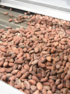 Cocoa Powder Line Algeria