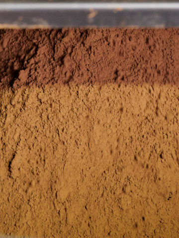 cocoa powder