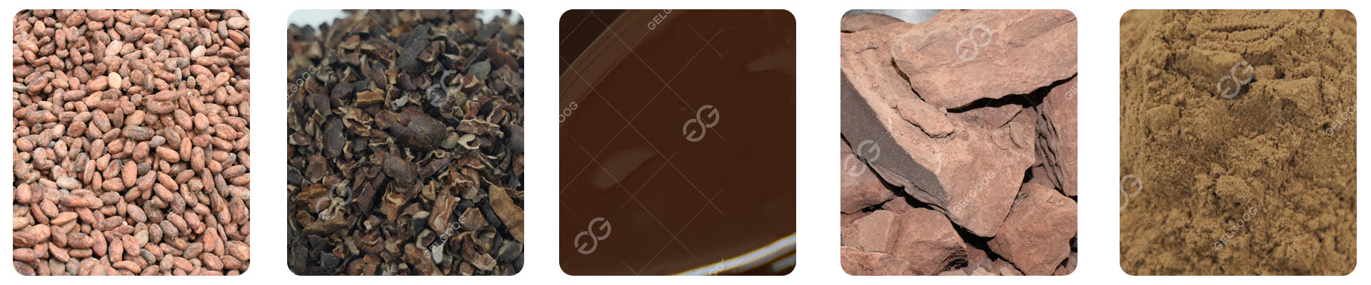 Cocoa Processing Products