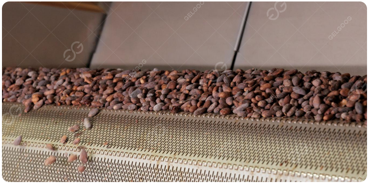 how to choose cocoa roasting machine