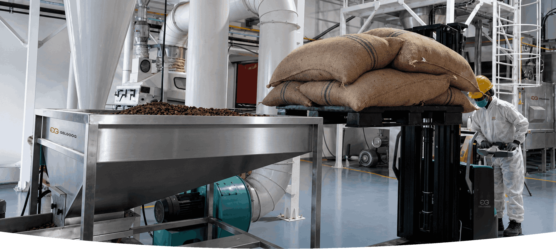 Automatic Cocoa Processing Line Solution