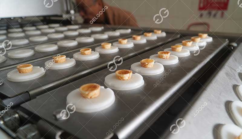 Waffle Cone Production Line