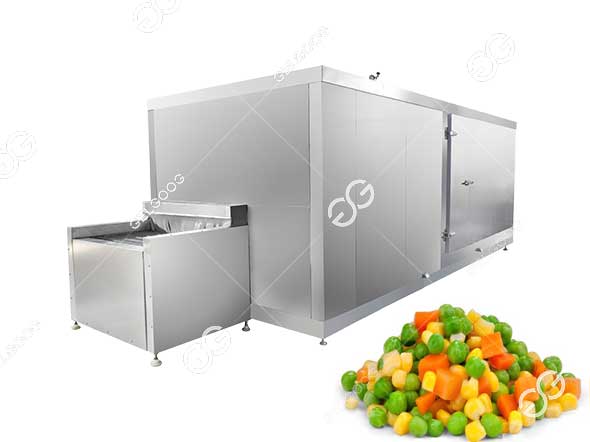 frozen-mix-vegetable-machine.jpg