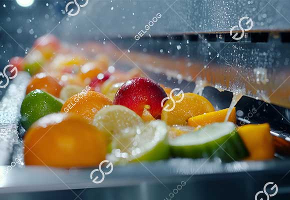 proyek lini produksi pembersihan buah