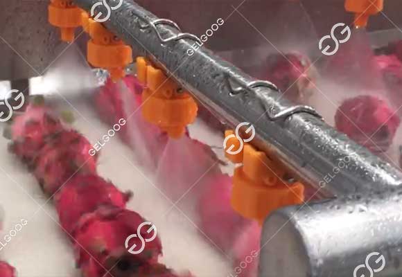 proyek lini produksi pembersihan buah