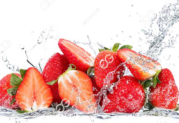 proyek lini produksi pembersihan buah