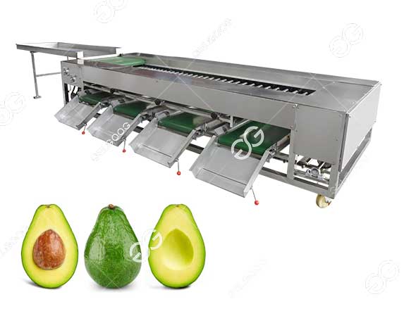 clasificador-de-peso-de-aguacate.jpg