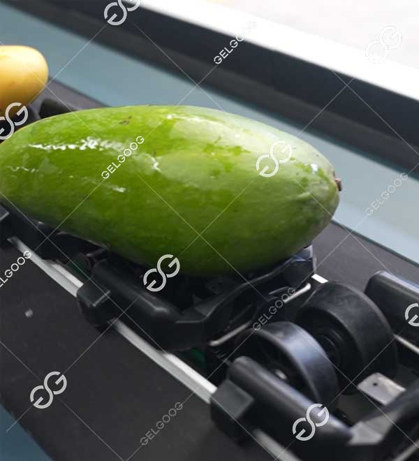 clasificadora industrial de aguacates