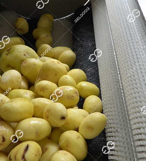 máquina para lavar y pelar patatas