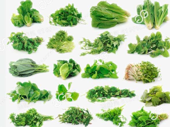 Precio de las máquinas blanqueadoras de verduras