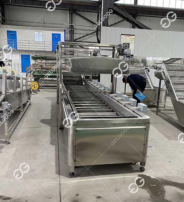 Precio de la máquina blanqueadora de verduras