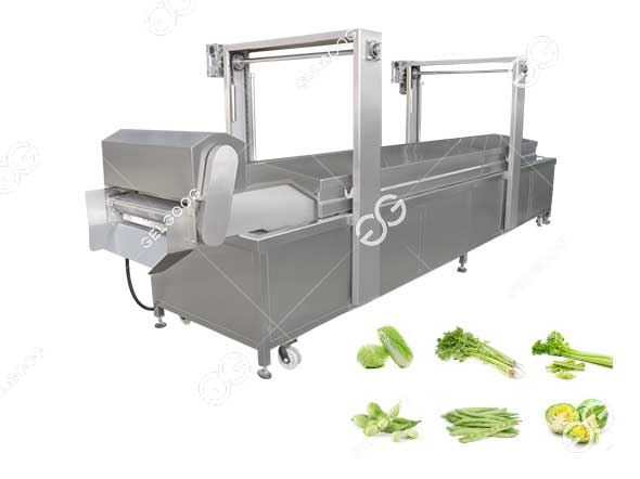 máquina blanqueadora de verduras.jpg