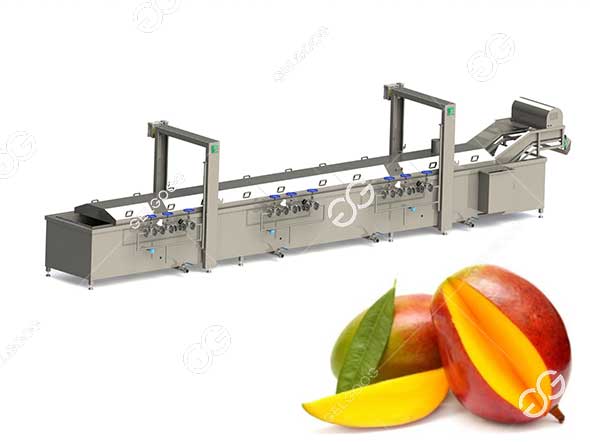 mango-hot-water-treatment-machine.jpg