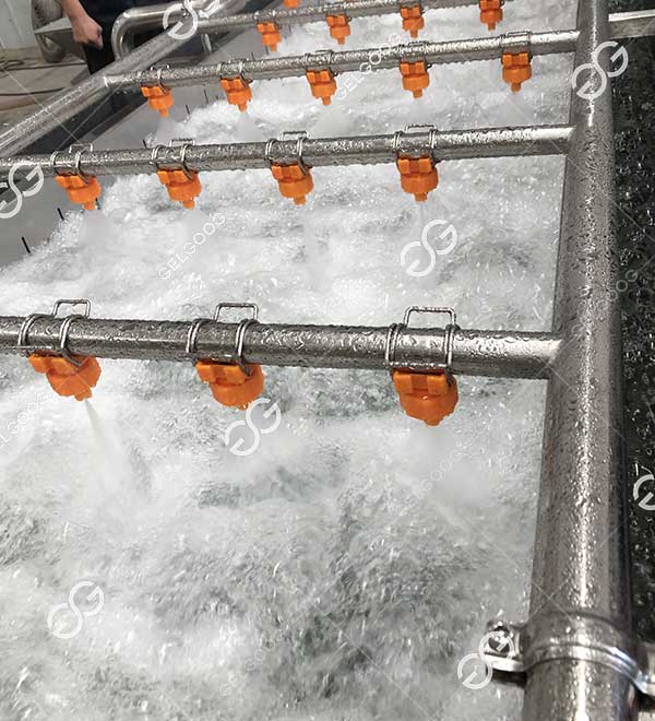 mango fruits hot water treatment machine