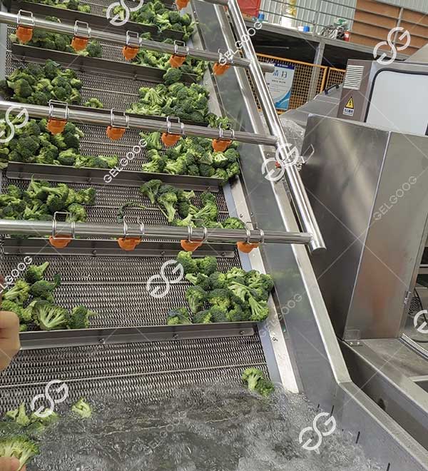 mango hot water treatment machine