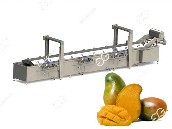 mango-blanching-machine.jpg