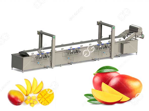 mango-fruits-hot-water-treatment-machine.jpg