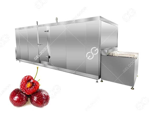 iqf-cherry-freezing-machine-price.jpg
