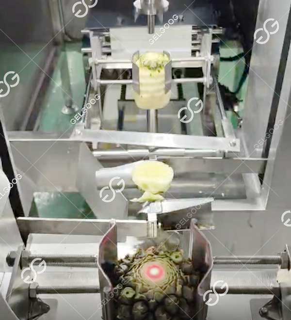 pineapple peeling machine for sale