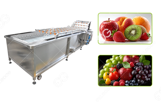 Bubble Fruit Washing Machine Industrial 